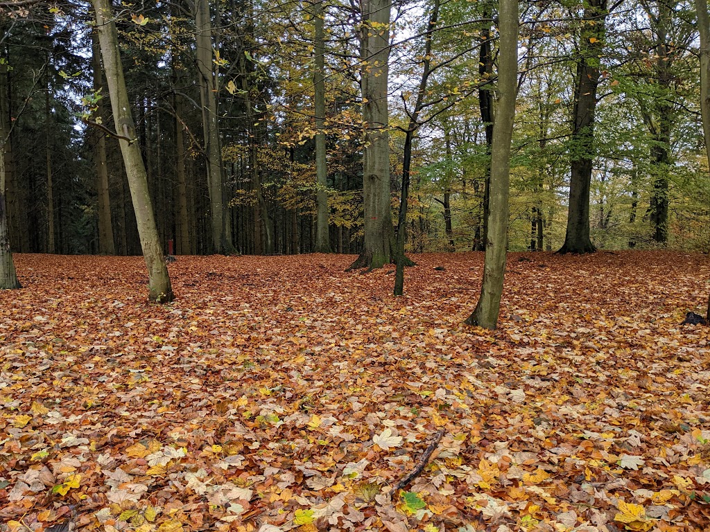 balplads-lystrup-skov-3.jpeg
