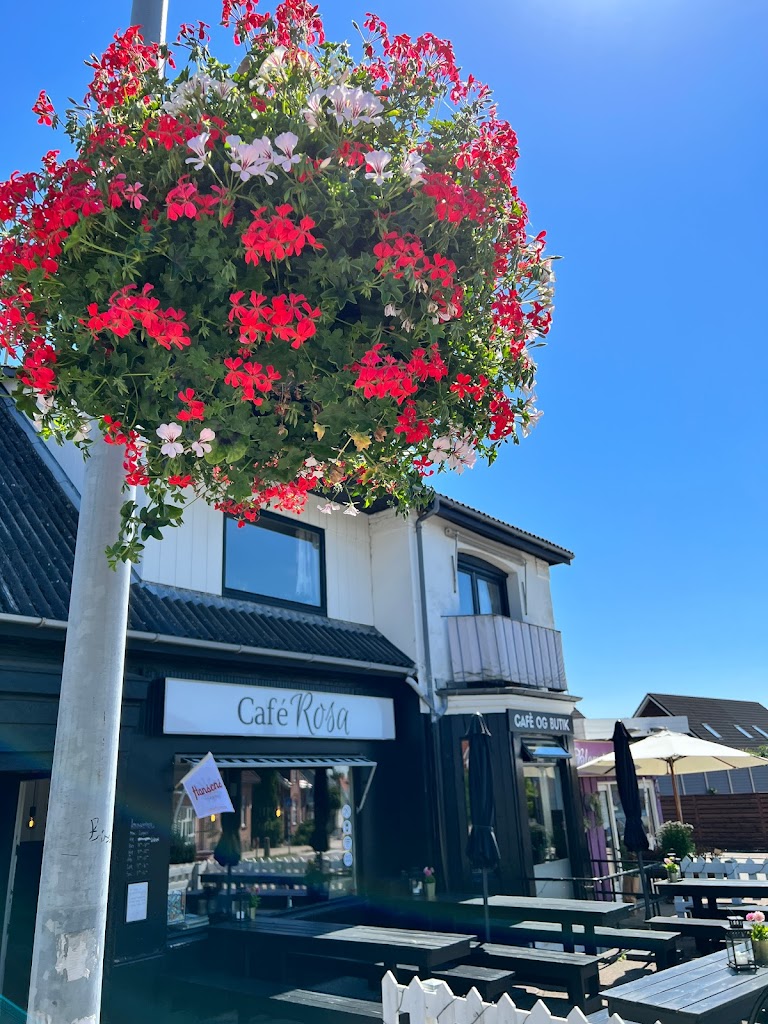 cafe-rosa-9.jpeg