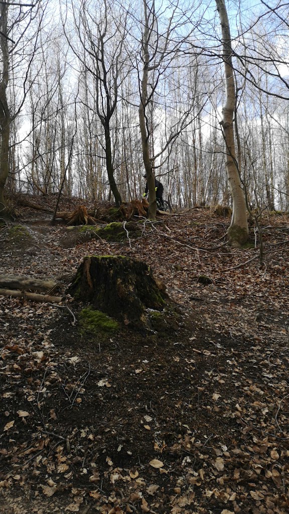 djaevlesporet-lystrup-2.jpeg