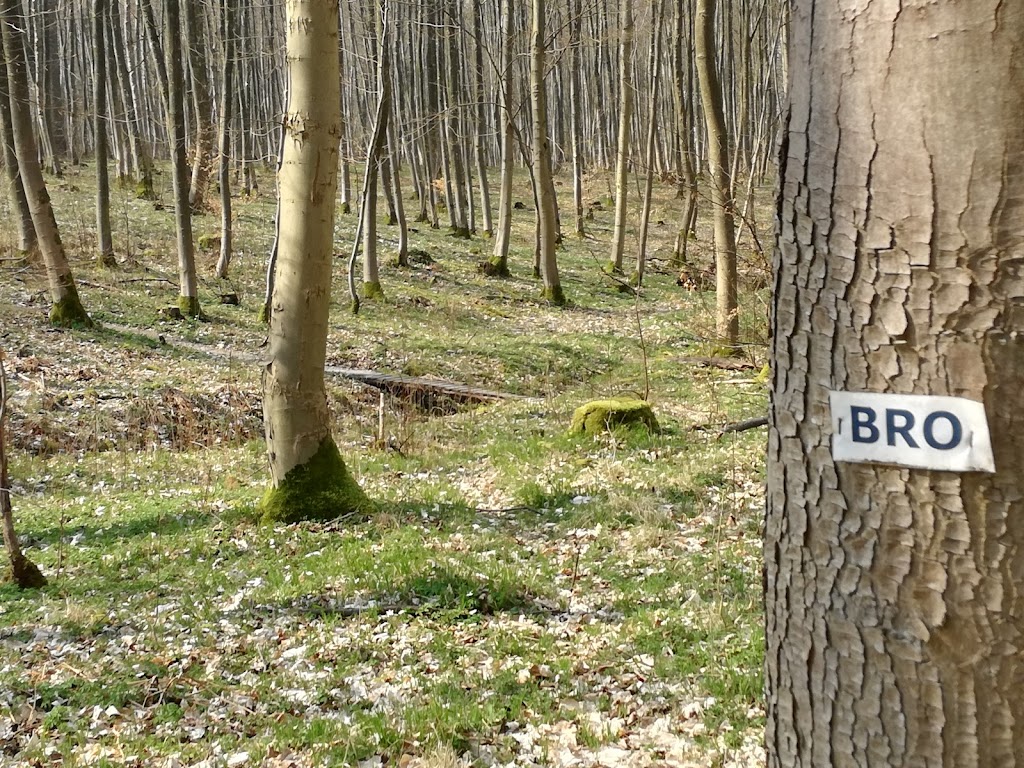 djaevlesporet-lystrup-8.jpeg