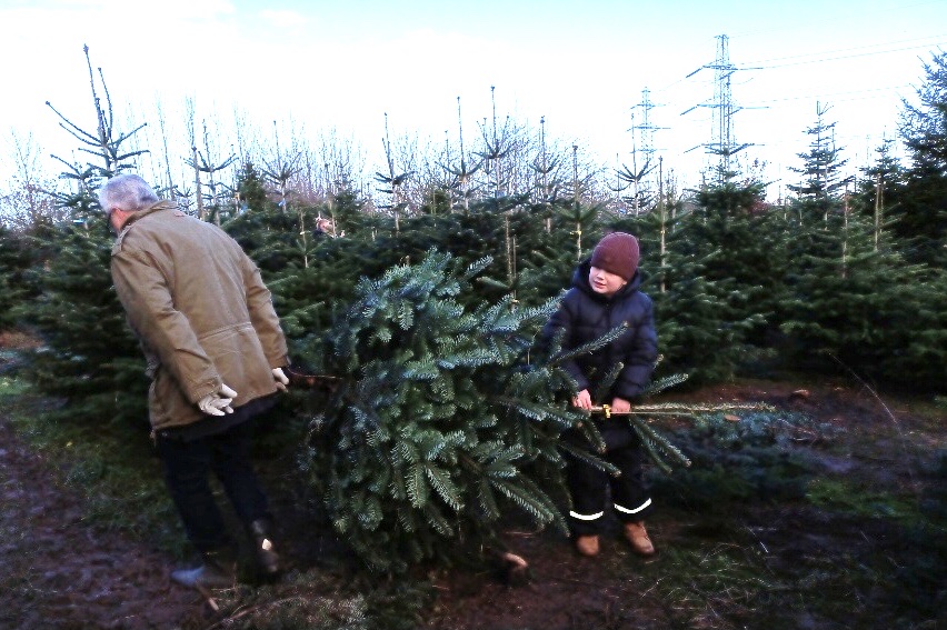 horup-juletraeer-faeld-selv-juletraeer-gardbutik-julehygge-12.jpeg