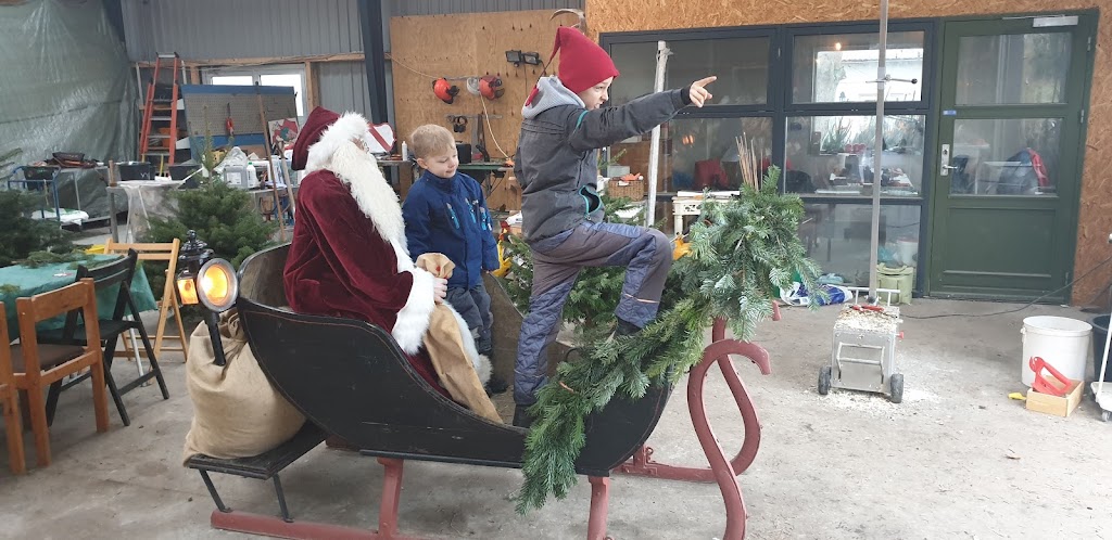 horup-juletraeer-faeld-selv-juletraeer-gardbutik-julehygge-14.jpeg