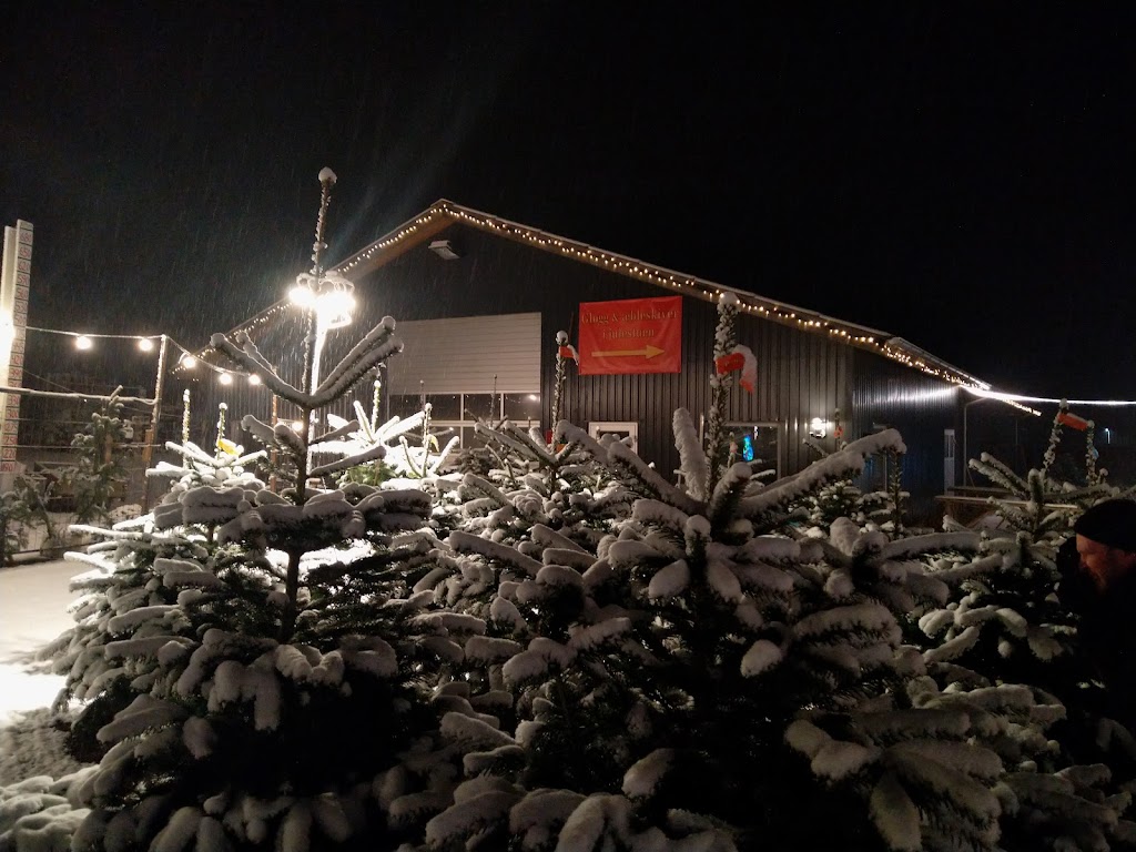 horup-juletraeer-faeld-selv-juletraeer-gardbutik-julehygge-6.jpeg