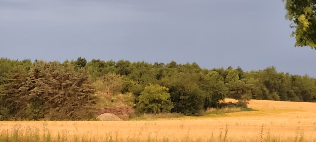 slangerup-motocross-klub-5.jpeg