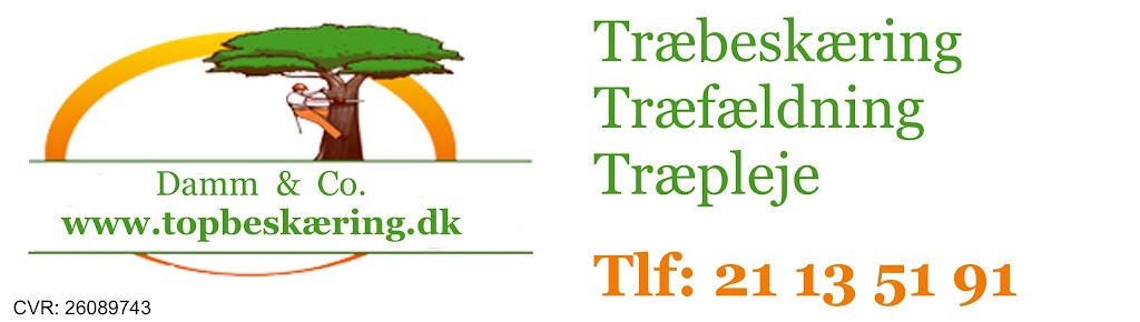 traefaeldning-traebeskaering-dk-0.jpeg