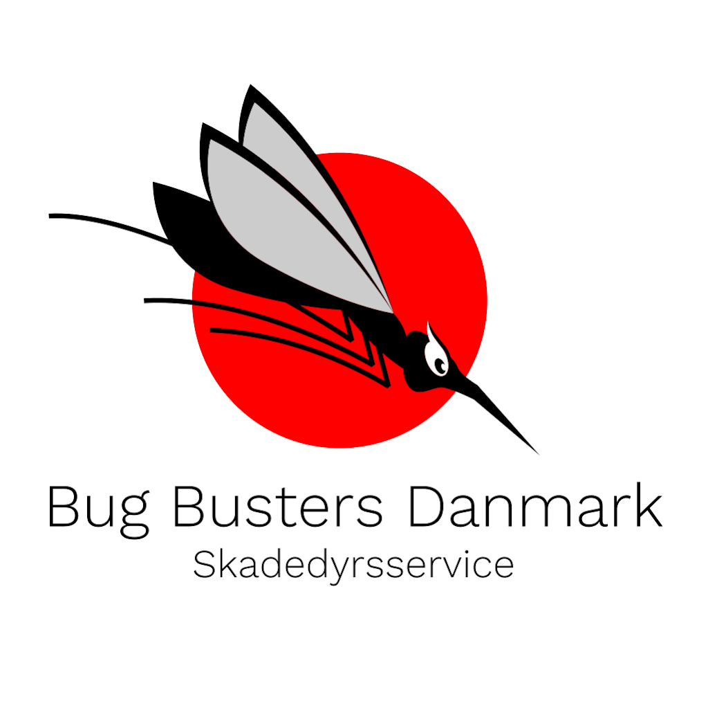 bug-busters-danmark-3.jpeg