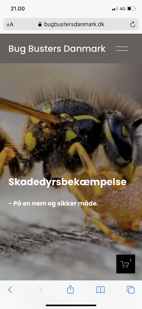 bug-busters-danmark-4.jpeg