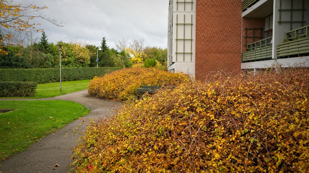 e-f-frugtvangen-paerevangen-og-blommevangen-6.jpeg