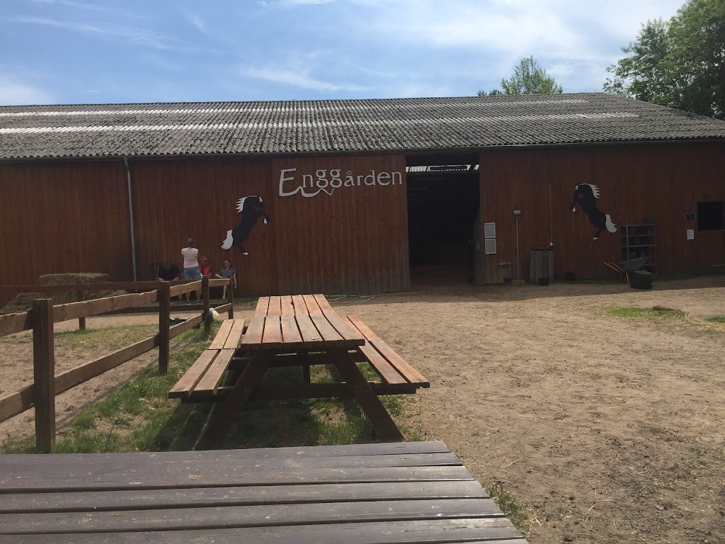 enggardens-hestepension-v-majbritt-koch-5.jpeg