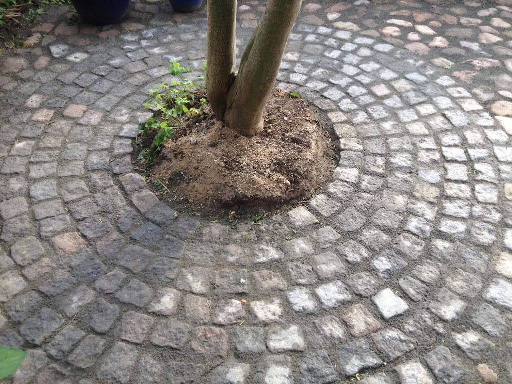 haveroderiet-2.jpeg
