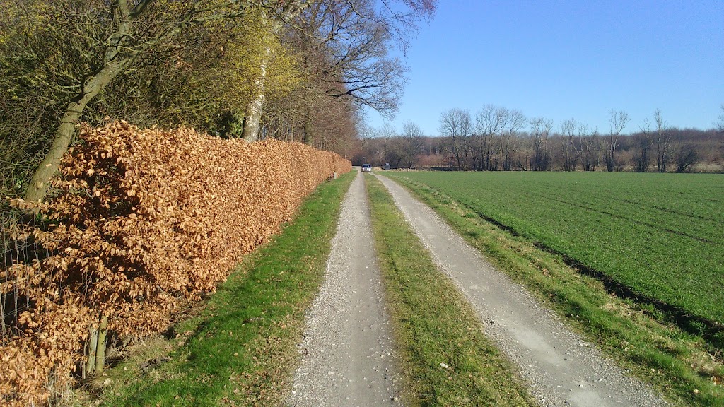 ledoje-plantage-2.jpeg