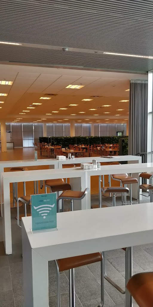 oticon-16.jpeg