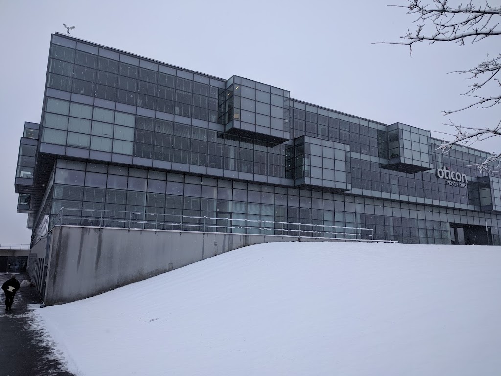 oticon-7.jpeg