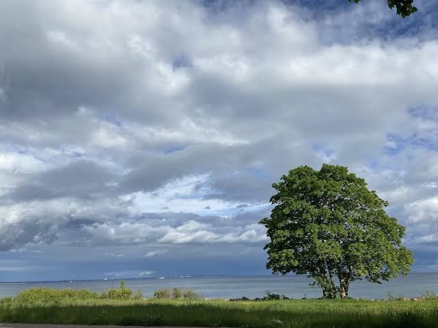 hotel-villa-brinkly-10.jpeg