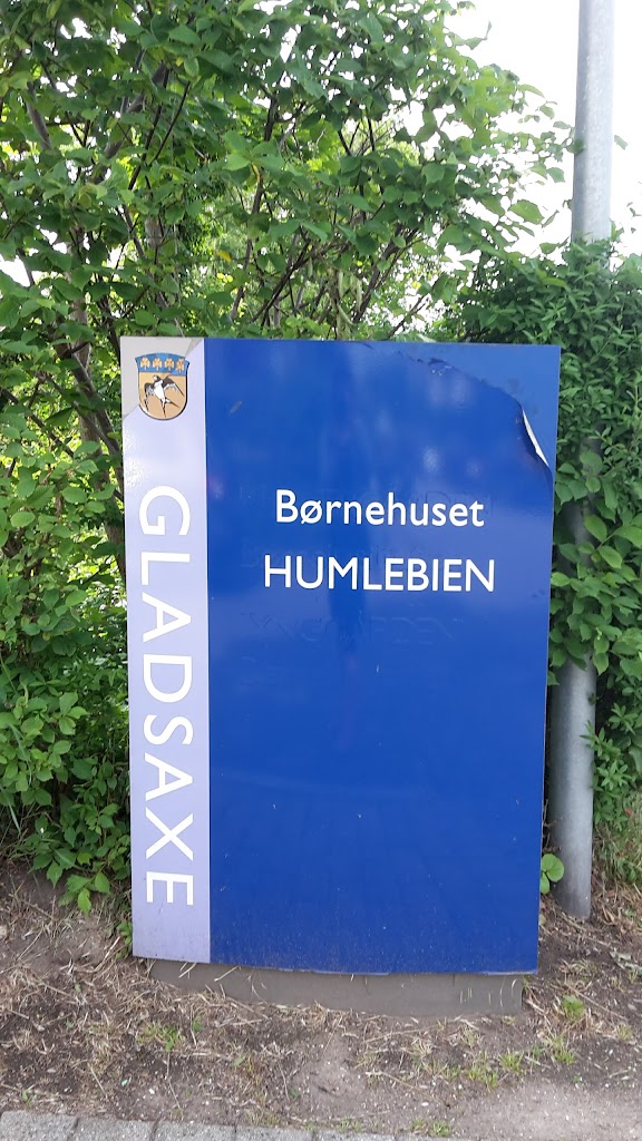 borneinstitutionen-humlebien-0.jpeg