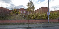hagelund-ivs-4.jpeg