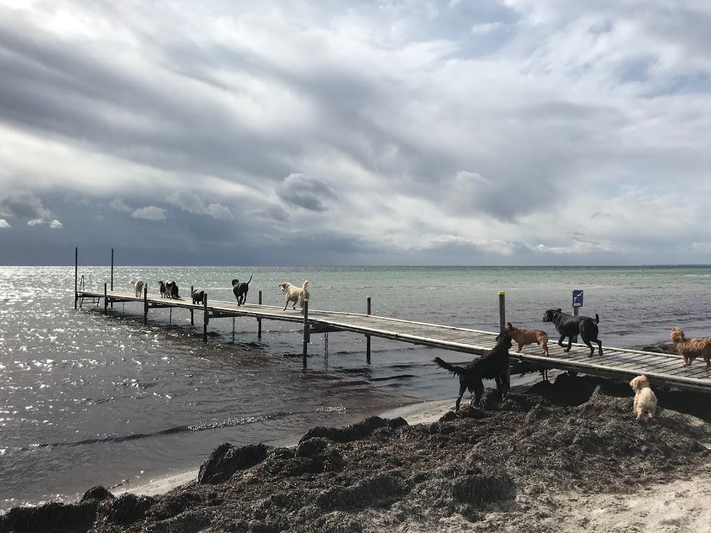 hundehaven-logrende-haler-aps-10.jpeg