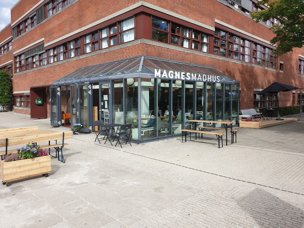 magnes-madhus-aps-1.jpeg