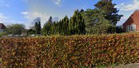 zoneterapeut-tina-roer-naested-1.jpeg