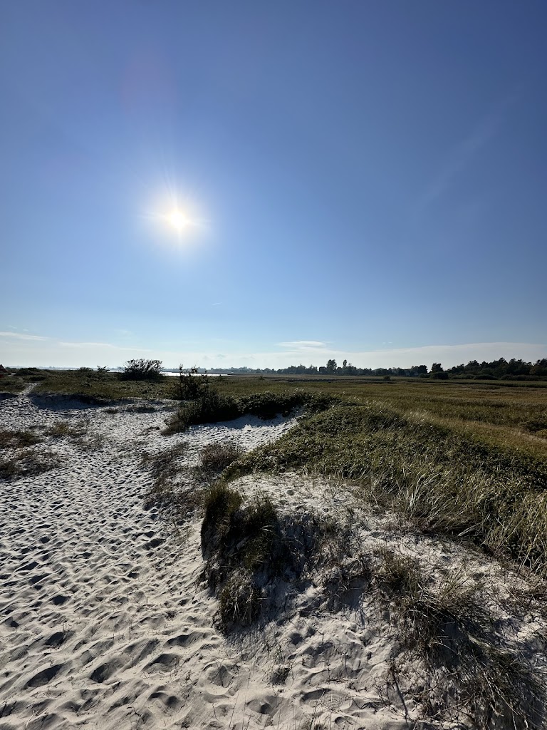 jersie-beach-18.jpeg