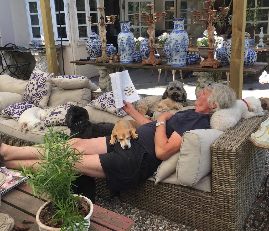 lille-hunde-ferie-15.jpeg