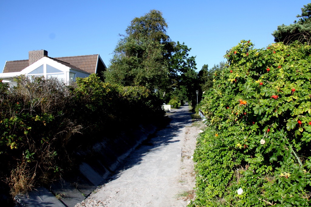 solrod-beach-17.jpeg