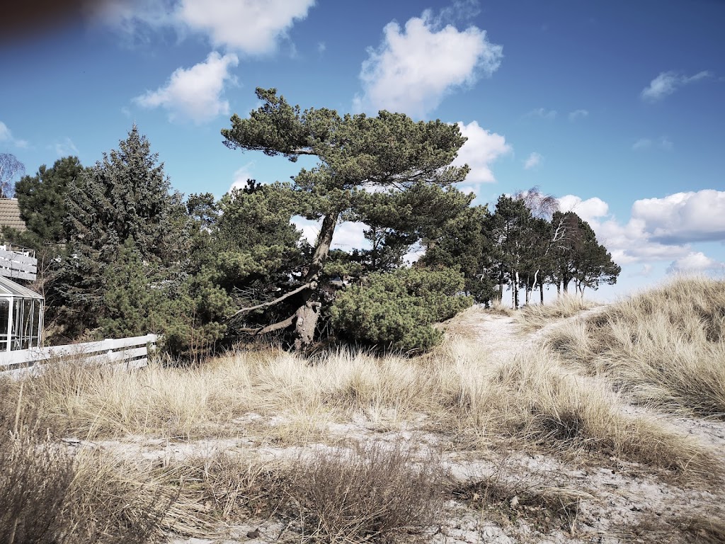 solrod-beach-7.jpeg
