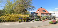 solrod-blomster-i-s-0.jpeg