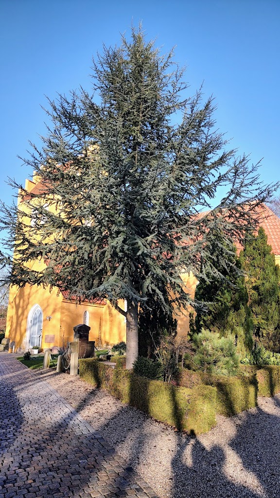 solrod-church-17.jpeg