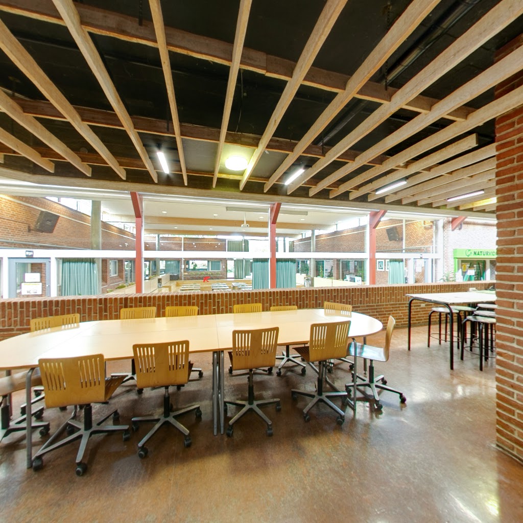 solrod-gymnasium-4.jpeg