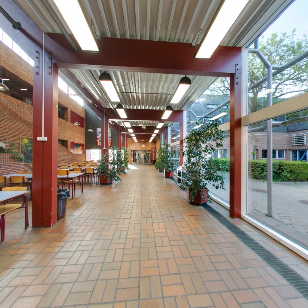 solrod-gymnasium-6.jpeg