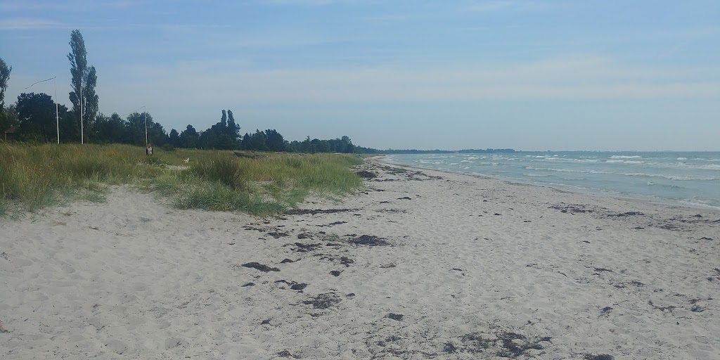 solrod-strand-kayak-club-8.jpeg