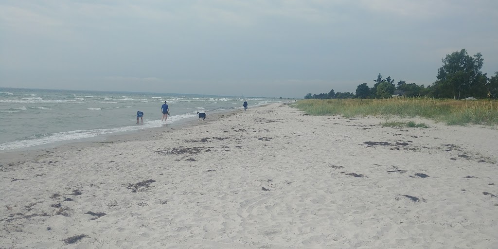 solrod-strand-kayak-club-9.jpeg