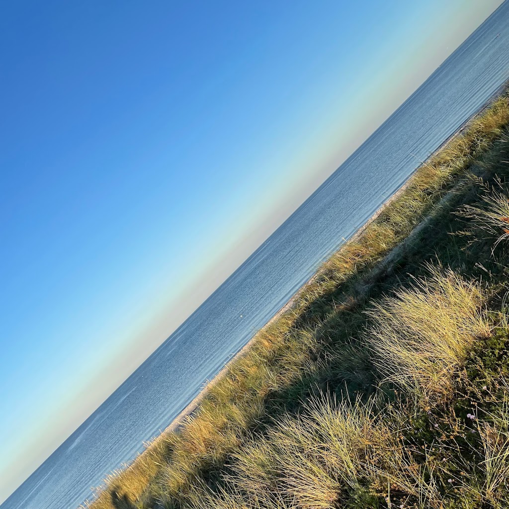 solrod-strandpark-9.jpeg