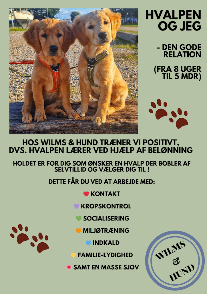 wilms-hund-traeningsbane-3.jpeg