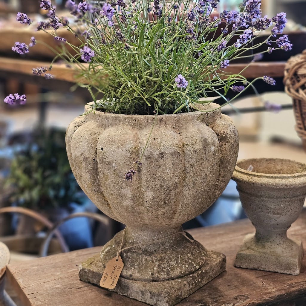 aastedgaards-showroom-18.jpeg