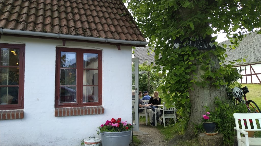 atelier-skoven-3.jpeg
