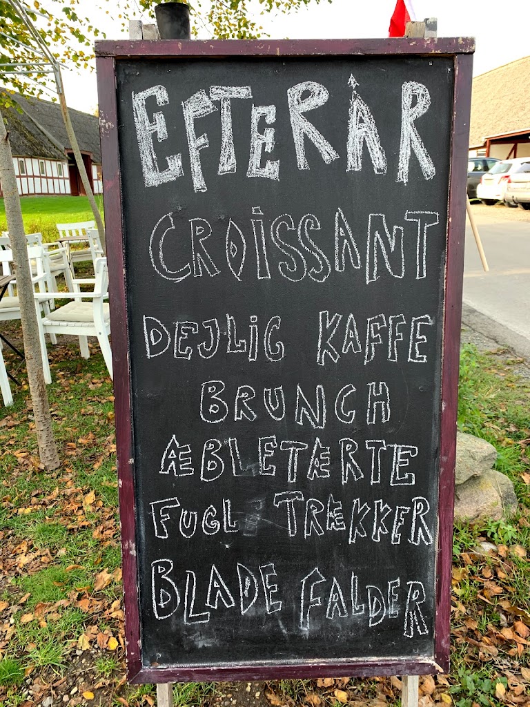 atelier-skoven-7.jpeg