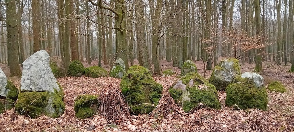 broby-vesterskov-langdysse-2-7.jpeg