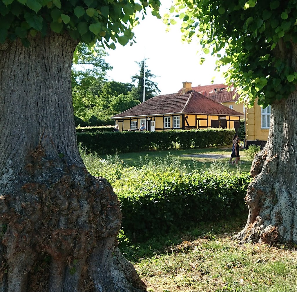 cafe-skjalms-garden-13.jpeg