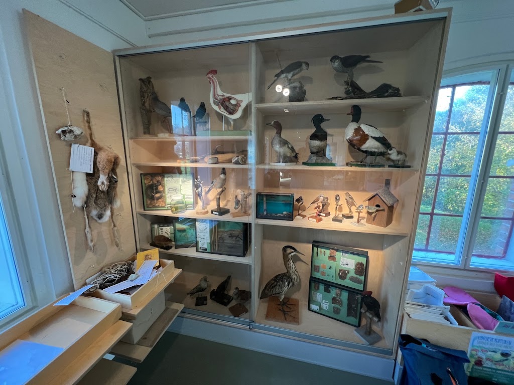 kongskilde-naturcenter-12.jpeg