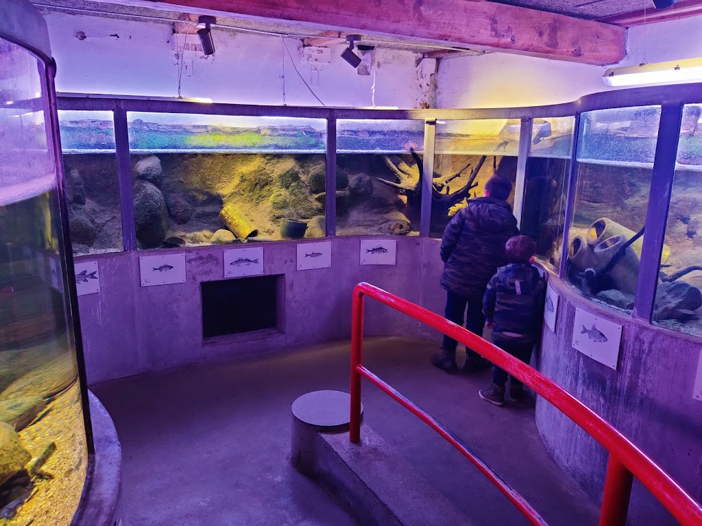 kongskilde-naturcenter-13.jpeg