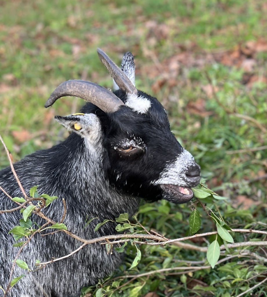 kongskilde-naturcenter-16.jpeg