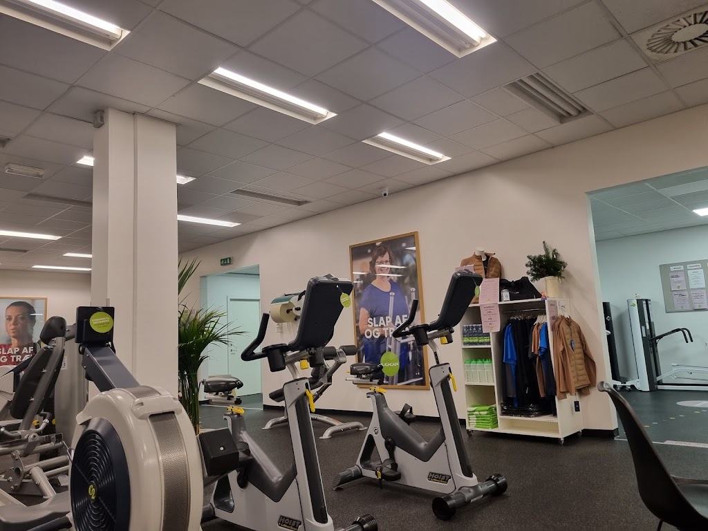 loop-fitness-soro-0.jpeg
