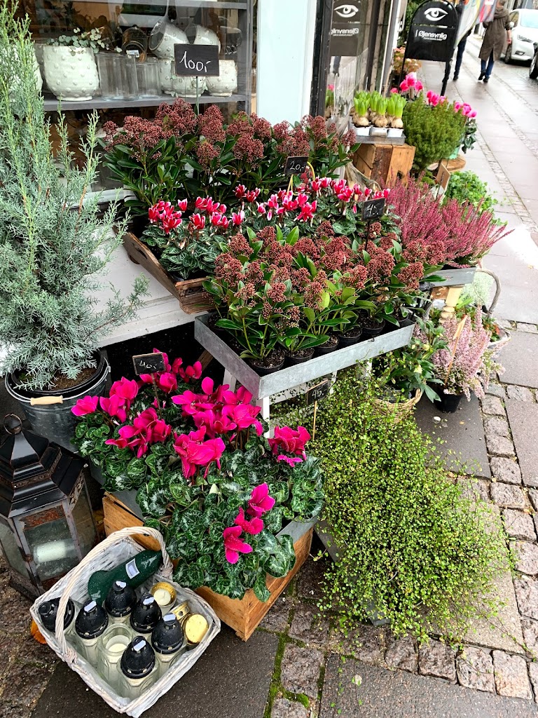 soro-blomstercenter-15.jpeg
