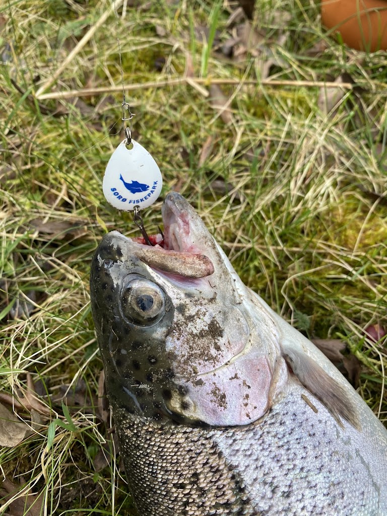 soro-fiskepark-i-s-5.jpeg