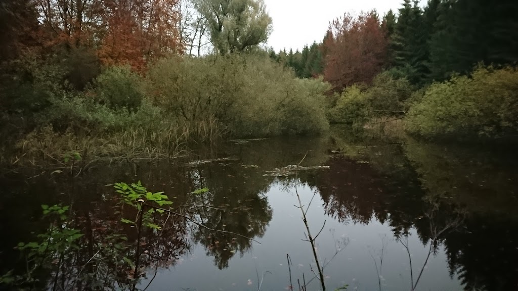 spor-broby-vesterskov-5.jpeg