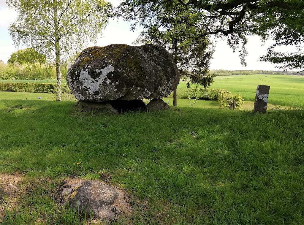 stendysse-i-dojringe-2.jpeg