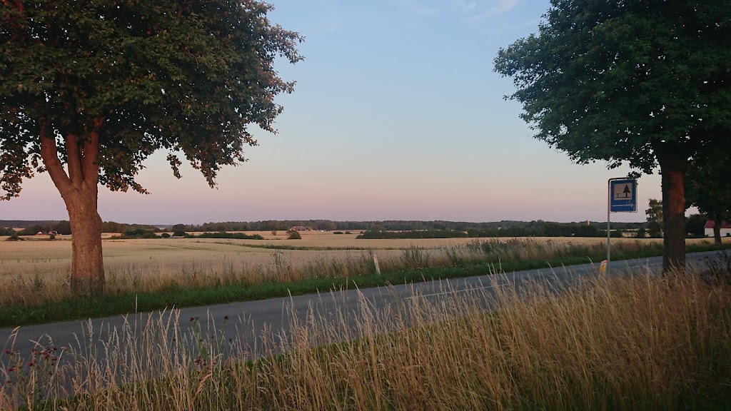vielsted-langdysse-1.jpeg