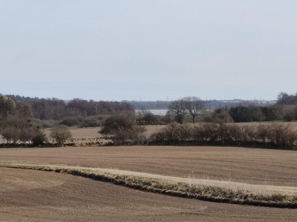vielsted-langdysse-10.jpeg